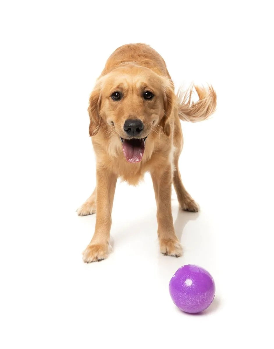 FuzzYard Truth Tellin' Treat Ball Dog Chew Toy