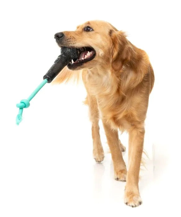 FuzzYard Mic Drop Dog Chew Toy