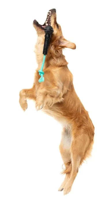 FuzzYard Mic Drop Dog Chew Toy