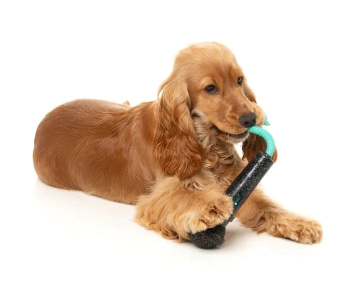 FuzzYard Mic Drop Dog Chew Toy