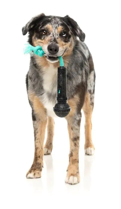 FuzzYard Mic Drop Dog Chew Toy