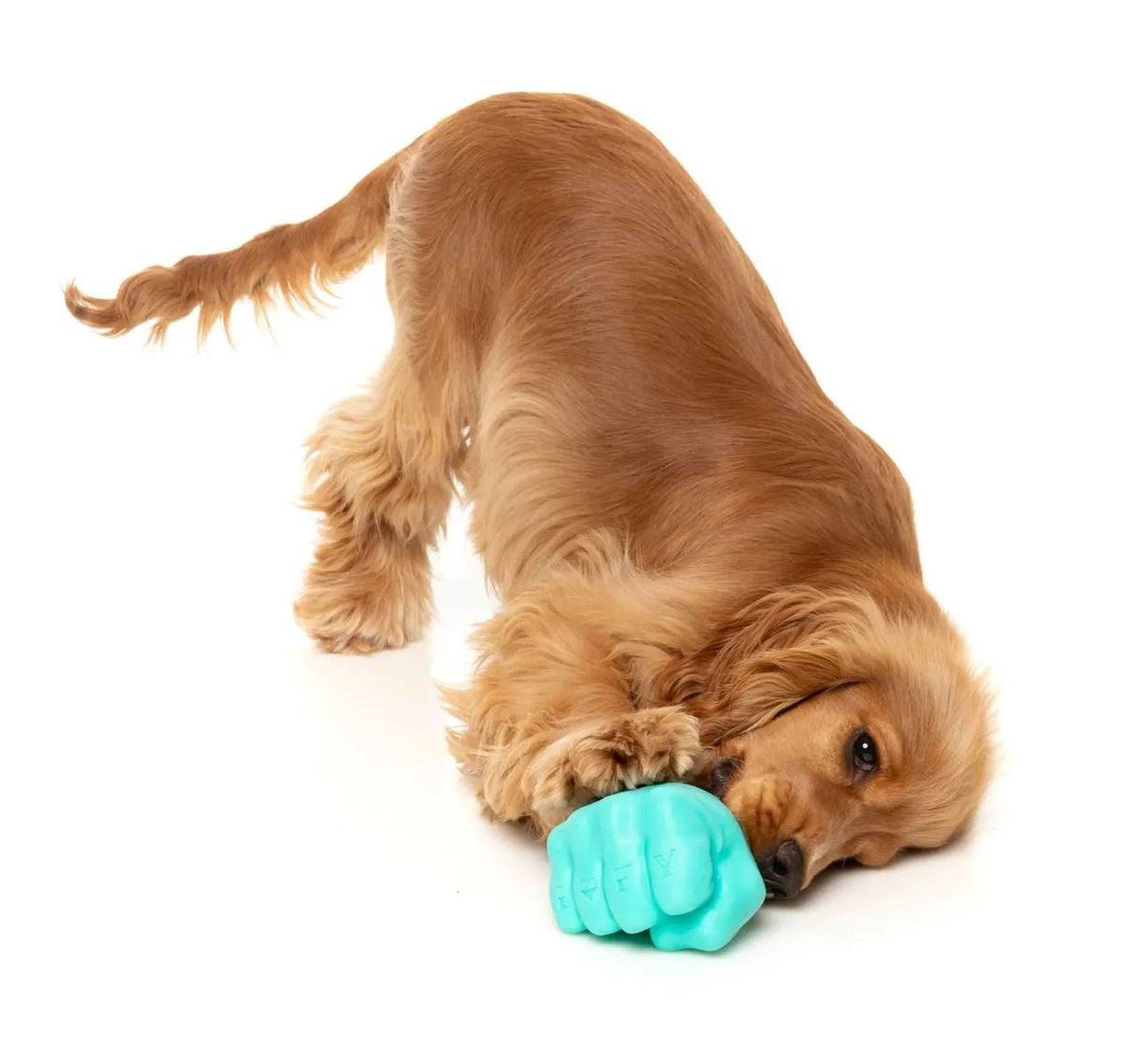 FuzzYard Knuckle Sandwich Dog Chew Toy