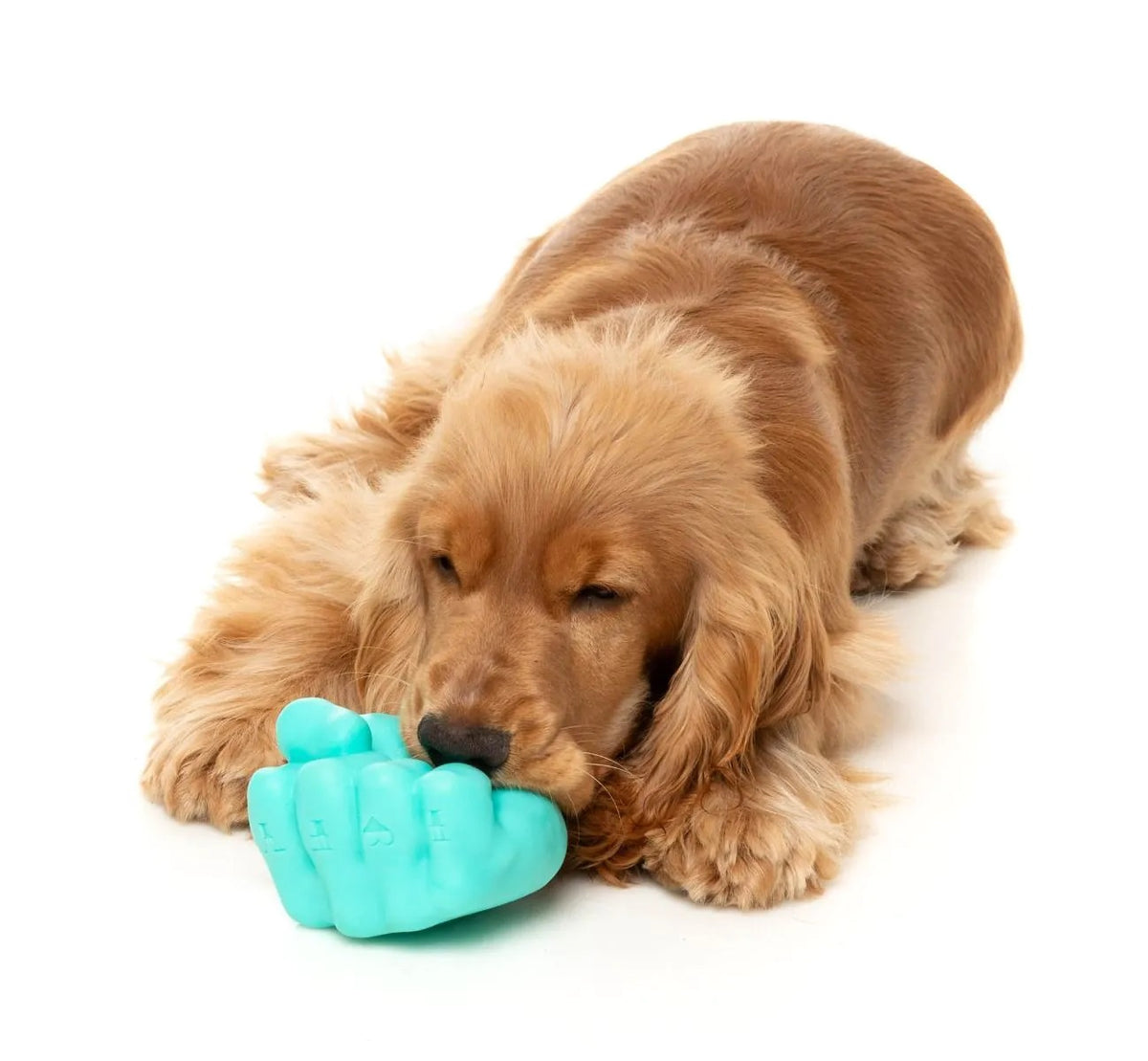 FuzzYard Knuckle Sandwich Dog Chew Toy