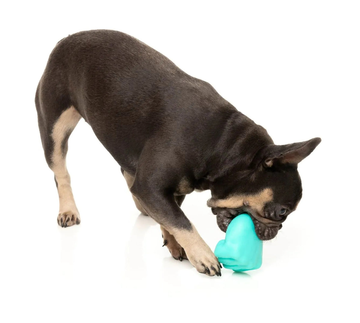 FuzzYard Knuckle Sandwich Dog Chew Toy