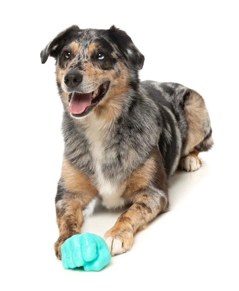 FuzzYard Knuckle Sandwich Dog Chew Toy