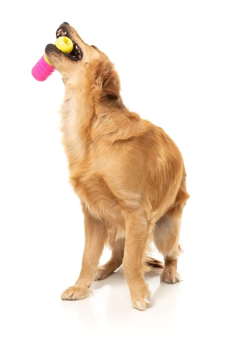 FuzzYard Chill Pill Dog Chew Toy