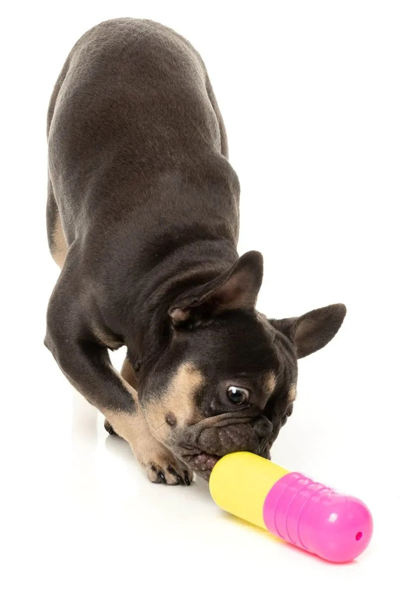 FuzzYard Chill Pill Dog Chew Toy