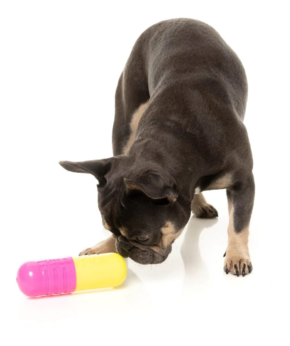 FuzzYard Chill Pill Dog Chew Toy