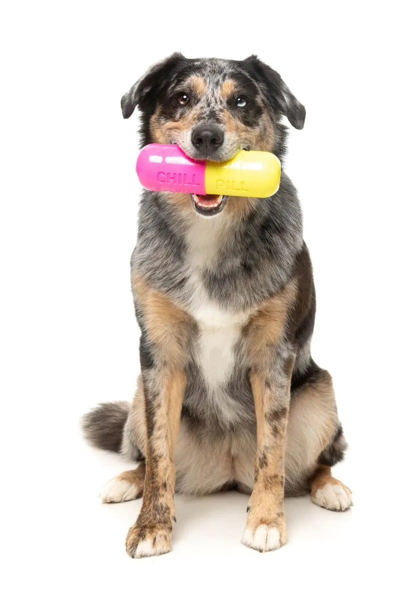 FuzzYard Chill Pill Dog Chew Toy