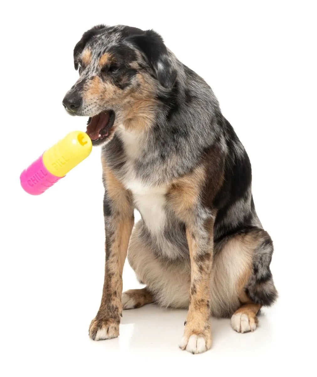 FuzzYard Chill Pill Dog Chew Toy