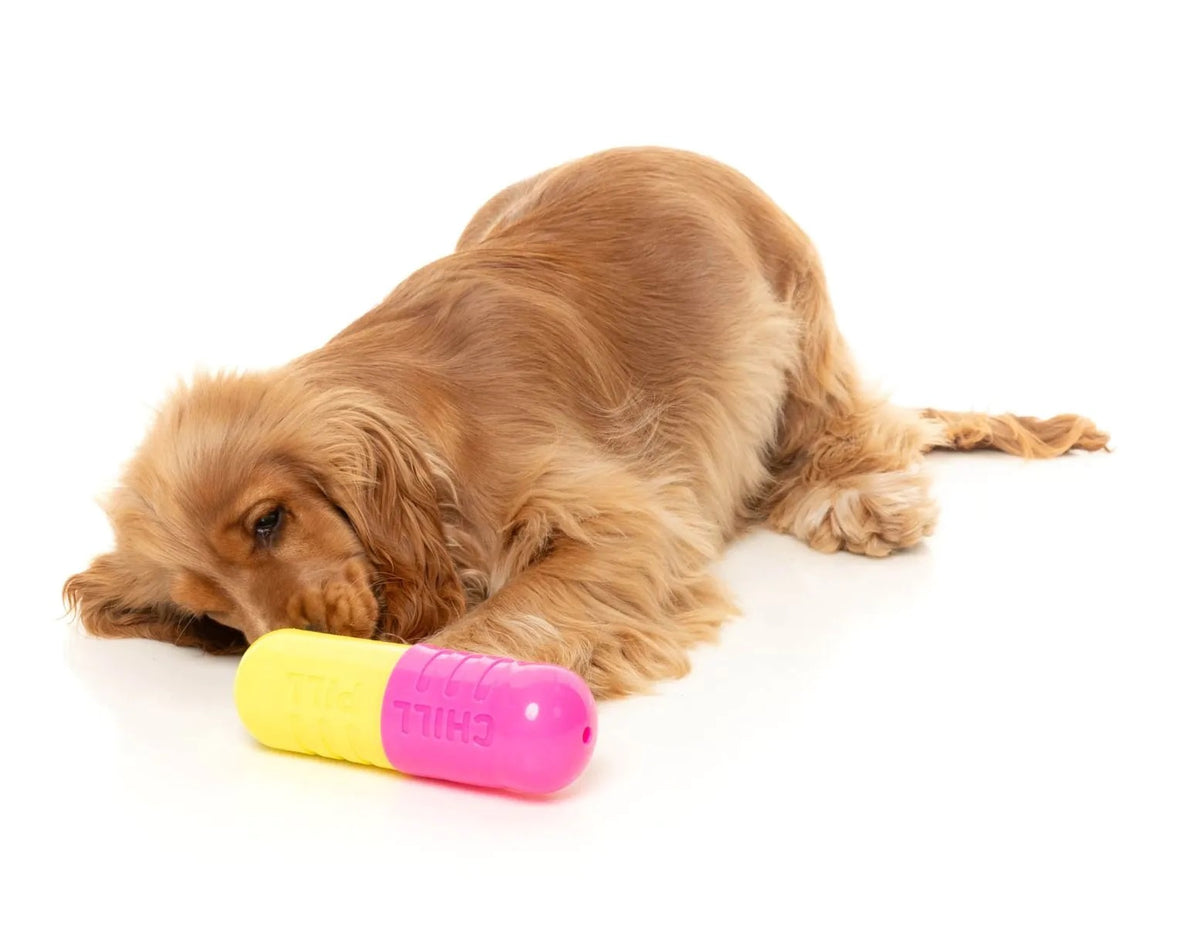 FuzzYard Chill Pill Dog Chew Toy