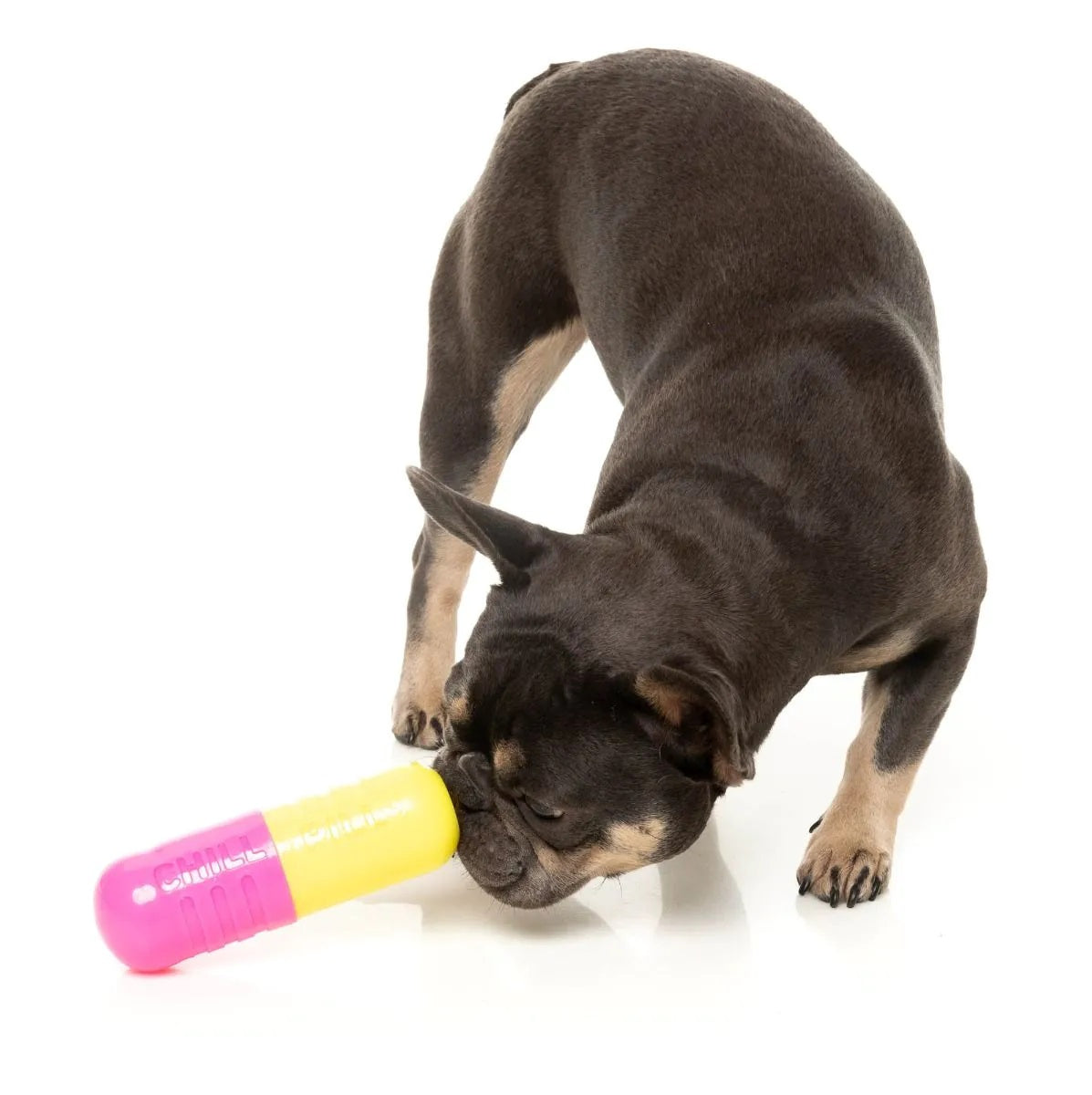 FuzzYard Chill Pill Dog Chew Toy