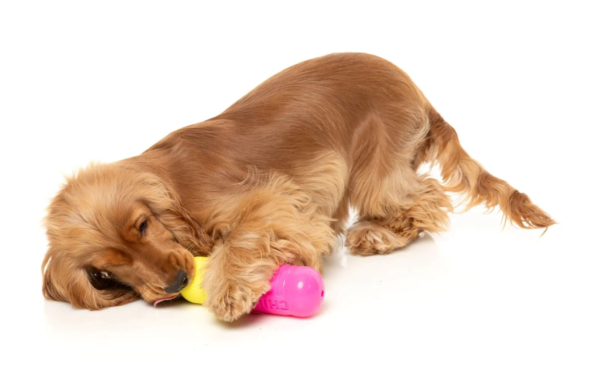 FuzzYard Chill Pill Dog Chew Toy