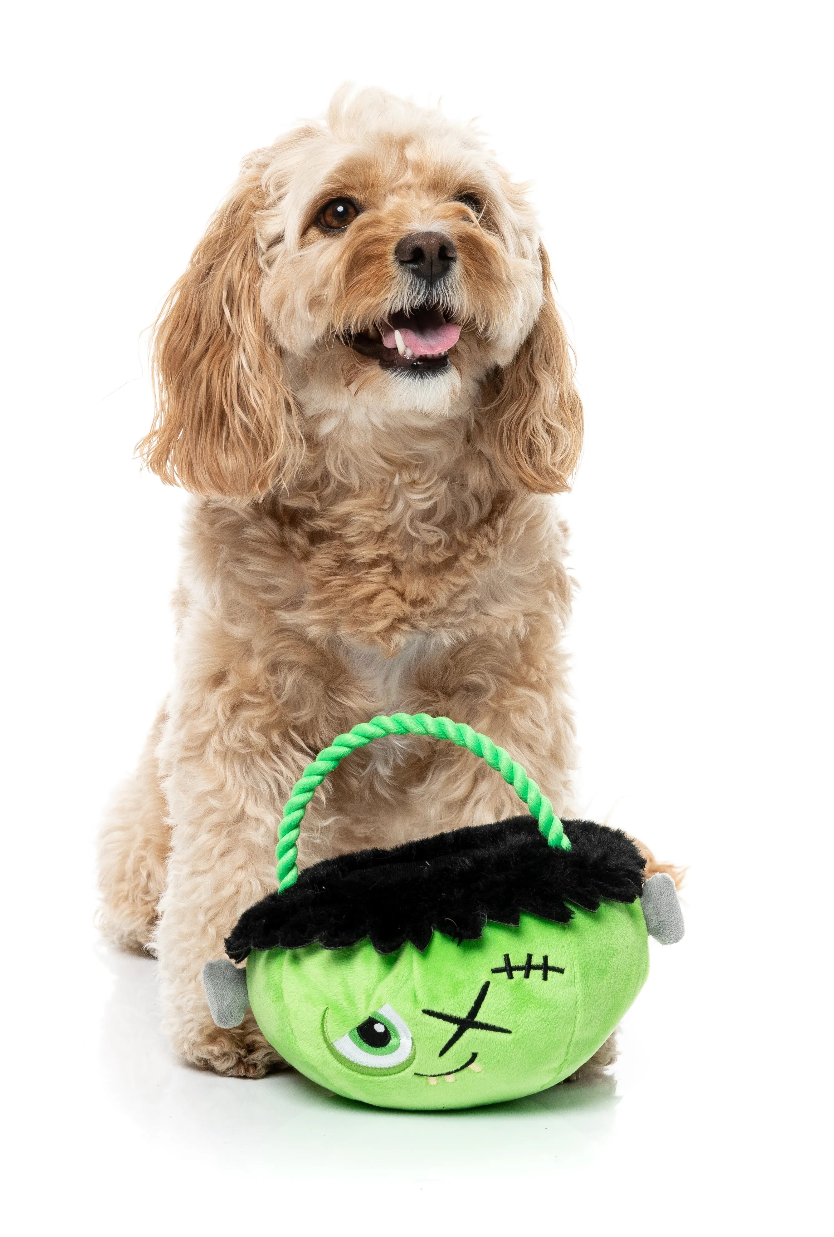 FuzzYard Halloween Franken Basket Plush Dog Toy