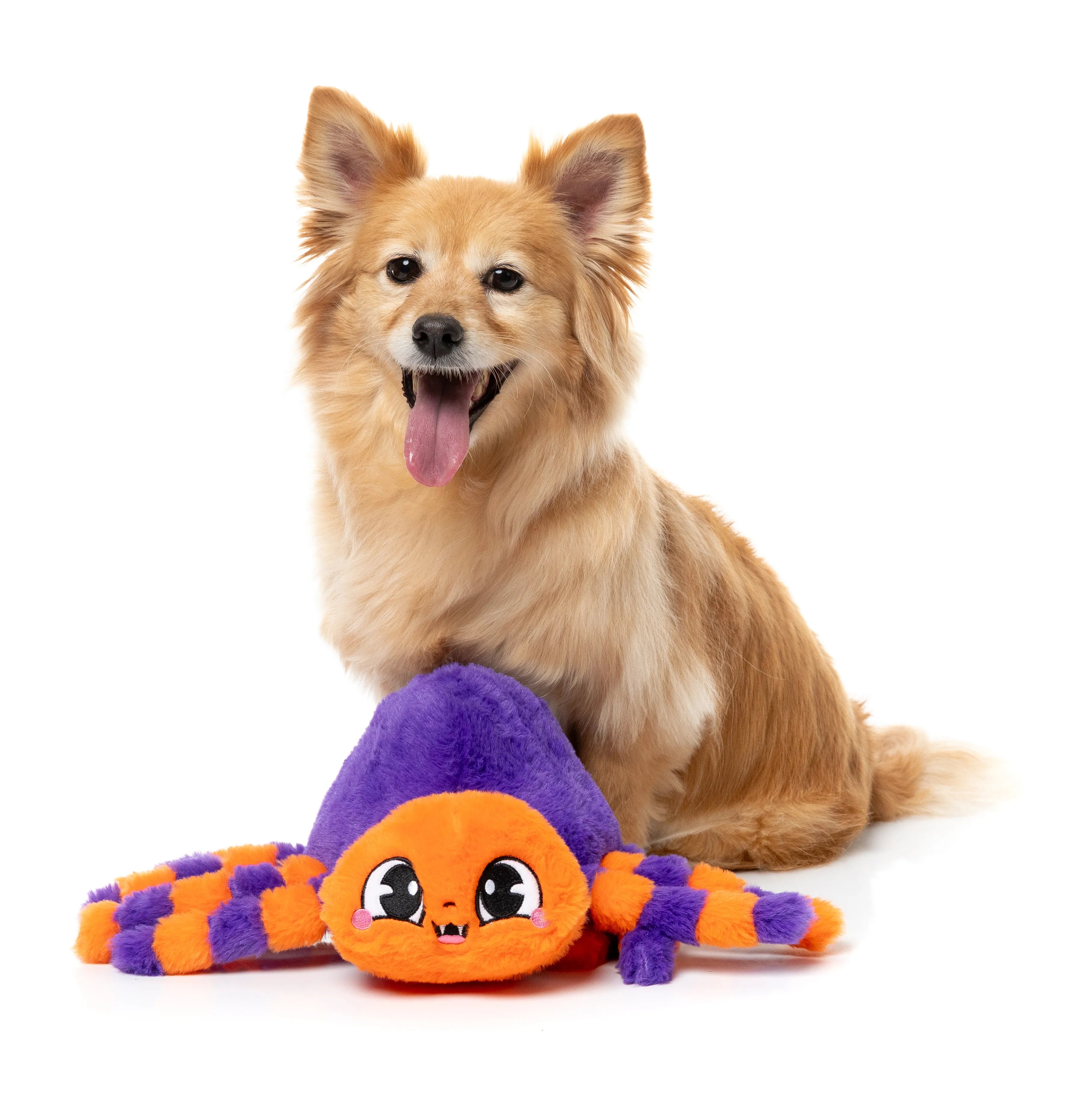 FuzzYard Halloween Tarantina The Spider Plush Dog Toy