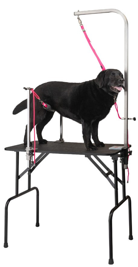 Groomers Helper 1" Classic Stainless Steel Grooming Table Arm