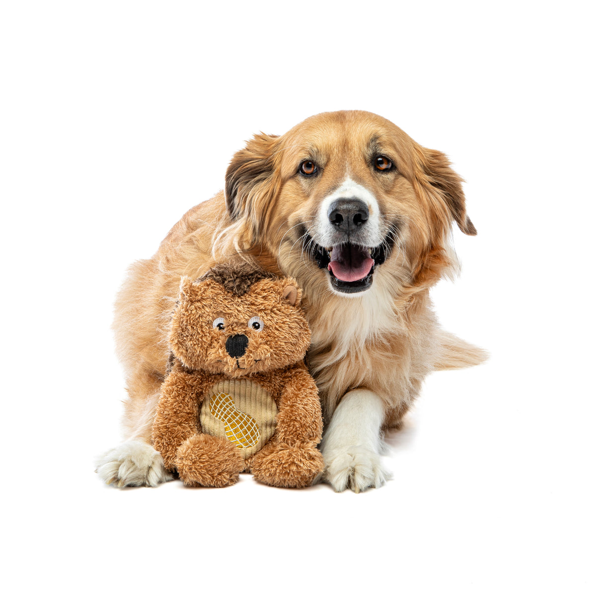 GURU Pet Company Soft Scents Hedgehog Plush Dog Toy Medium