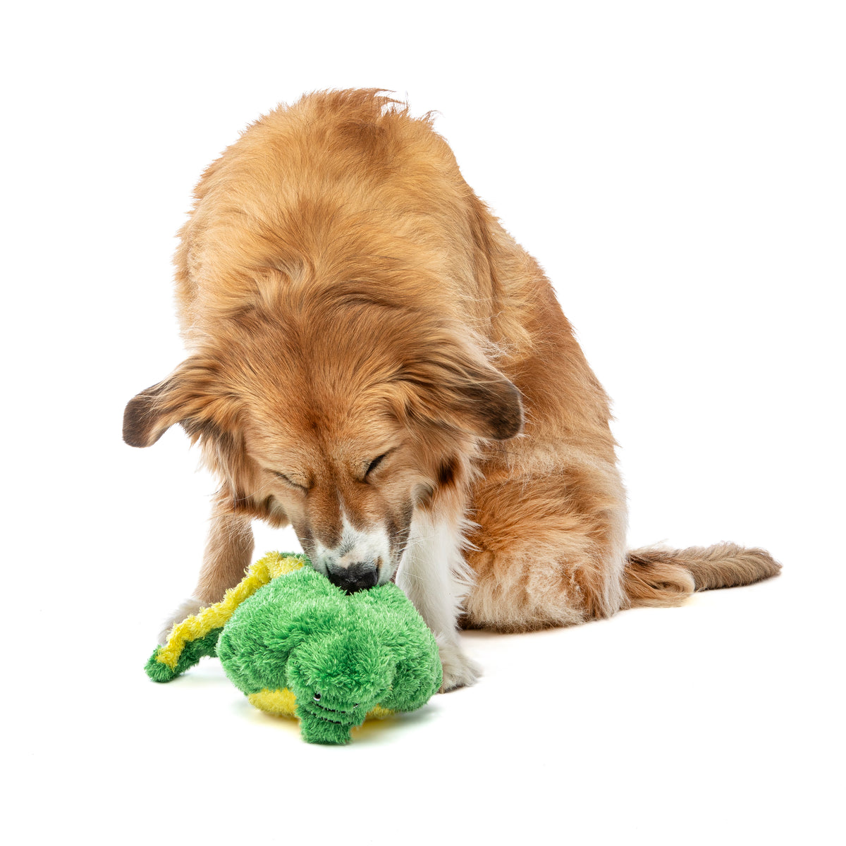 GURU Pet Company Hide-A-Tail Alligator Interactive Plush Dog Puzzle Toy Medium