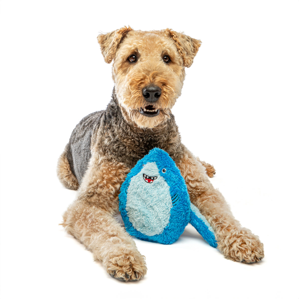 GURU Pet Company Hide-A-Tail Shark Interactive Plush Dog Puzzle Toy Medium