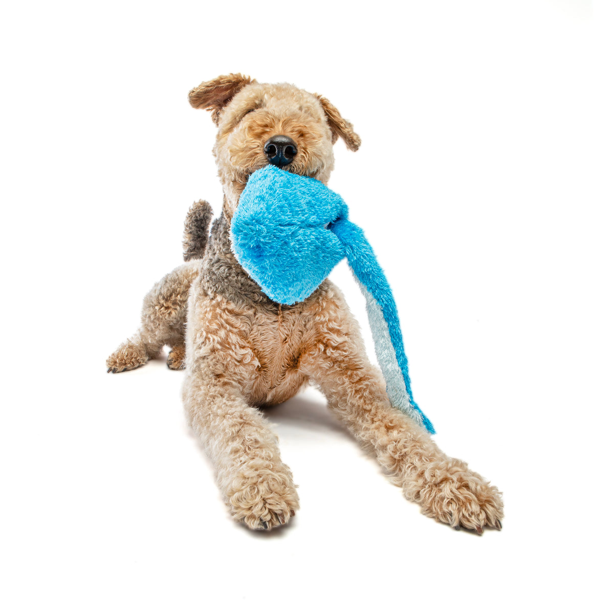 GURU Pet Company Hide-A-Tail Shark Interactive Plush Dog Puzzle Toy Medium