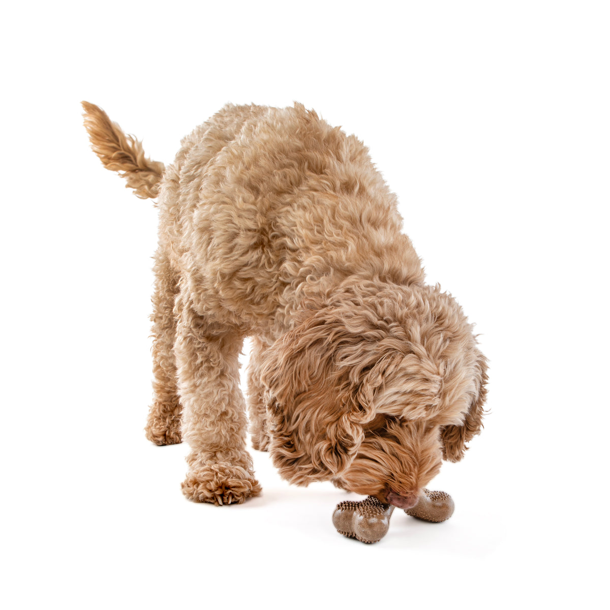 GURU Pet Company Guru Bacon Bone Dental Dog Chew Toy Medium