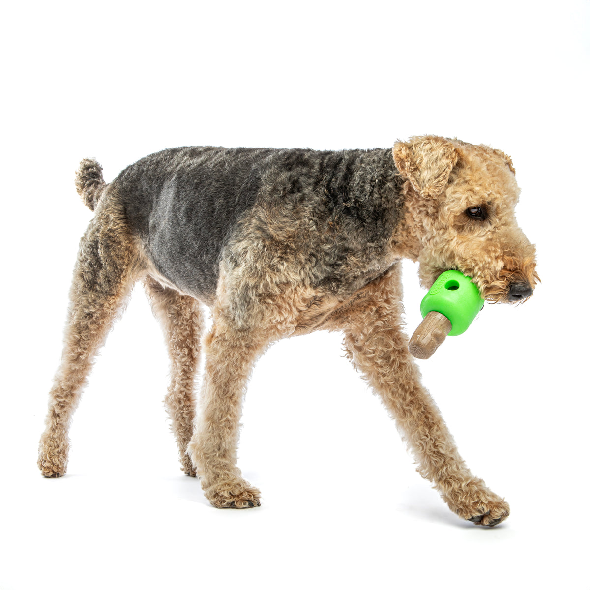 GURU Pet Company Spin & Treat Stick Interactive Dog Toy Medium