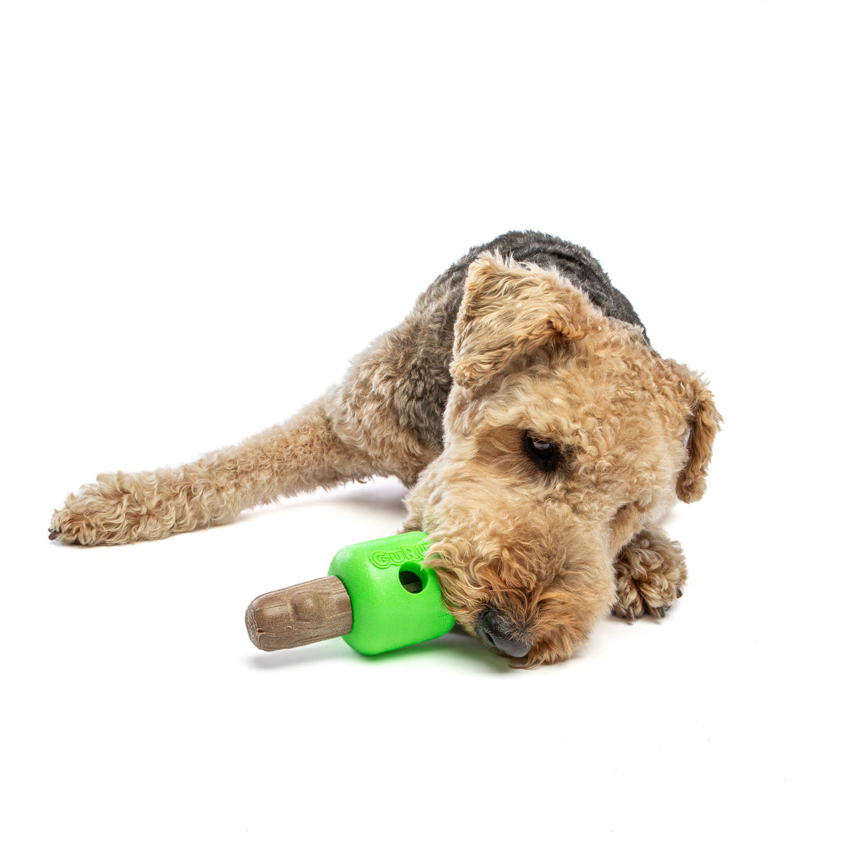 GURU Pet Company Spin & Treat Stick Interactive Dog Toy Medium