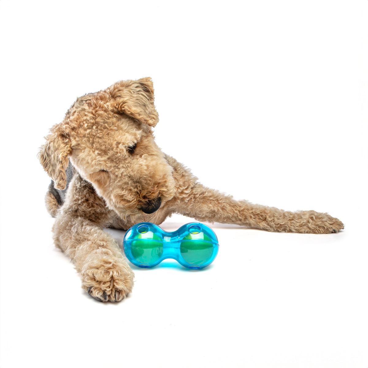 GURU Pet Company Guru Duo Ball Dog Fetch Toy Medium