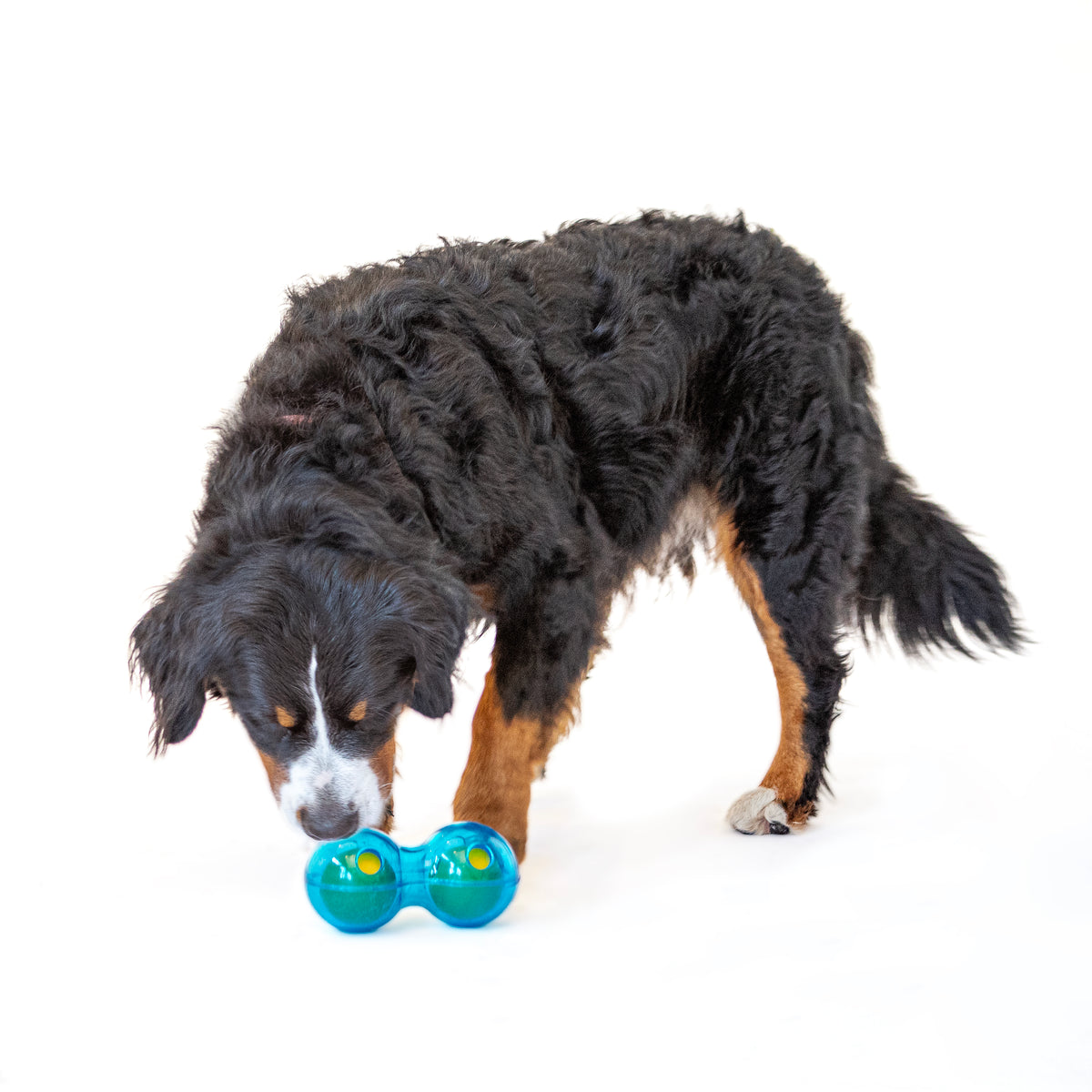 GURU Pet Company Guru Duo Ball Dog Fetch Toy Medium