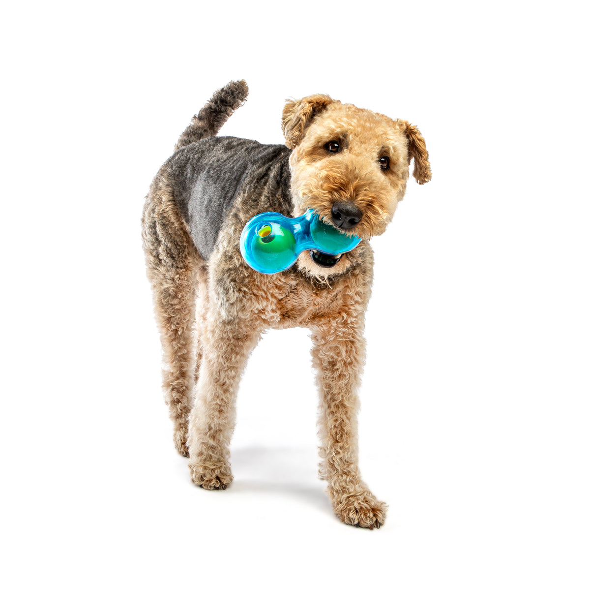 GURU Pet Company Guru Duo Ball Dog Fetch Toy Medium