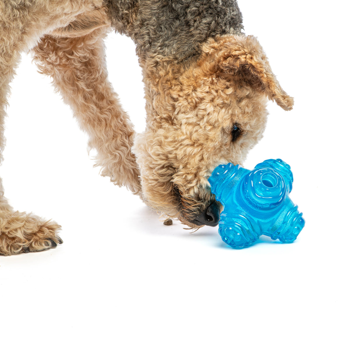 GURU Pet Company Puzzle Jack Interactive Dog Toy Medium