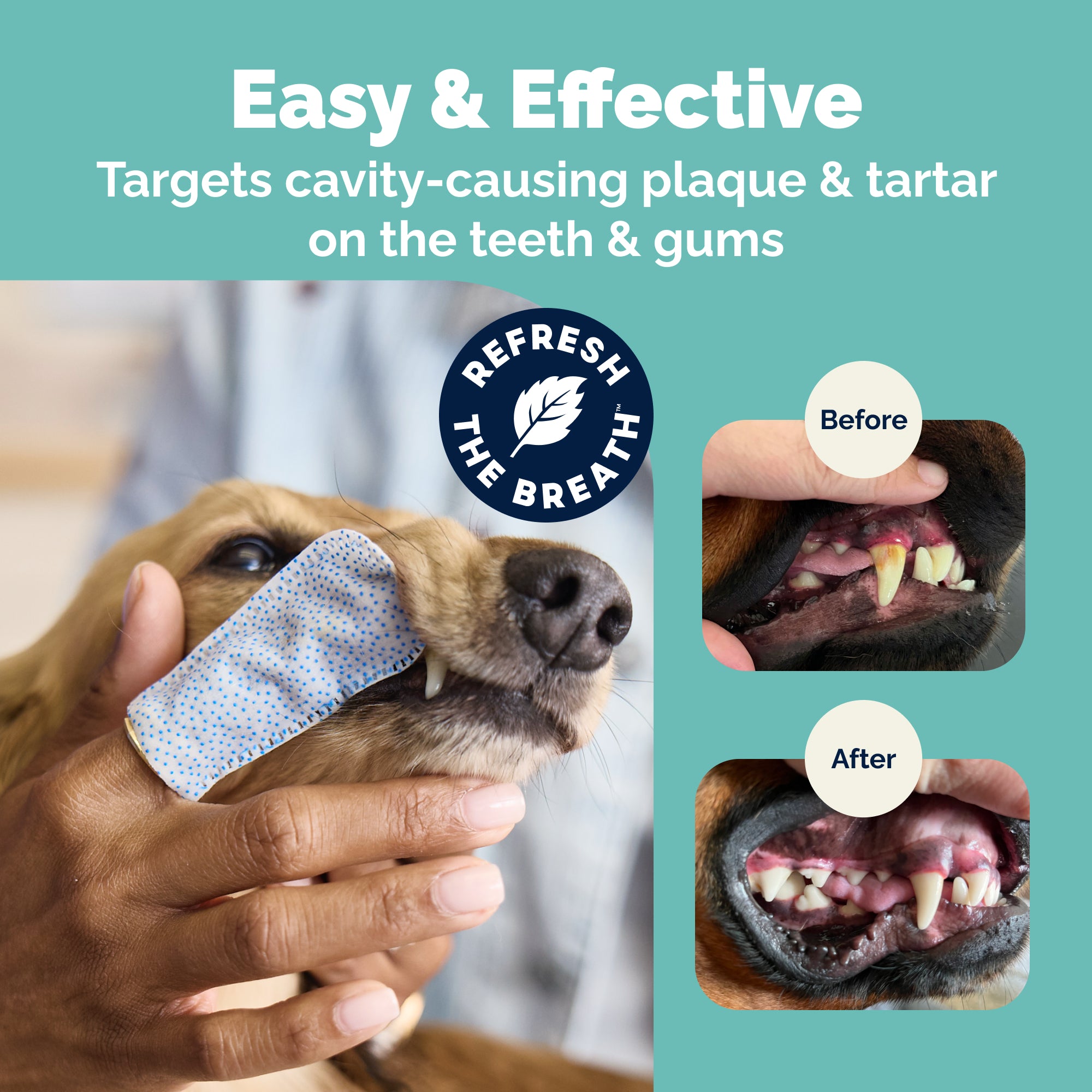 Dentabliss Peppermint Dental Wipes Finger Mitts 50ct