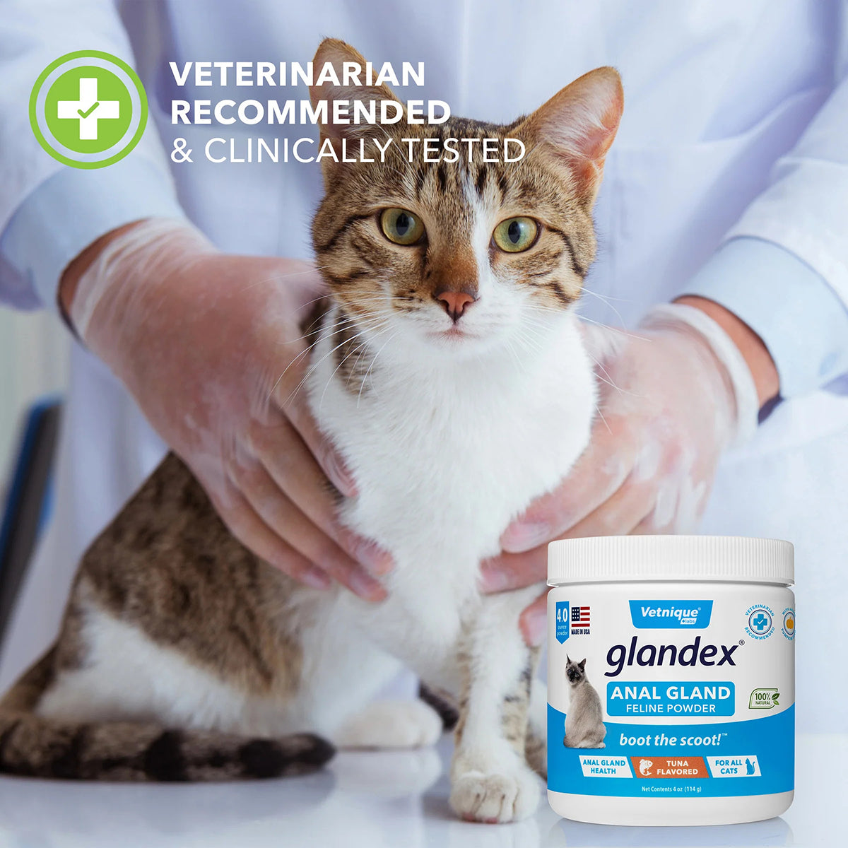 Glandex Feline Anal Gland Support Powder - Tuna Flavor