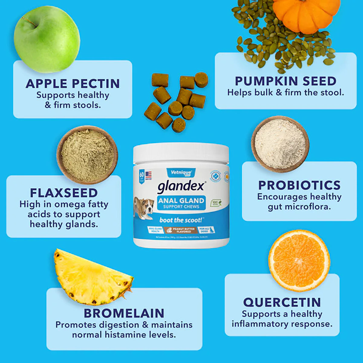 Glandex Anal Gland Support Soft Chews - Peanut Butter Flavor 60 ct.