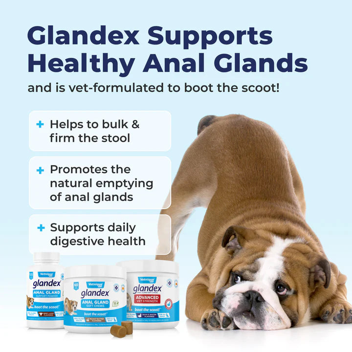 Glandex Anal Gland Support Soft Chews - Duck & Bacon Flavor 120 ct.