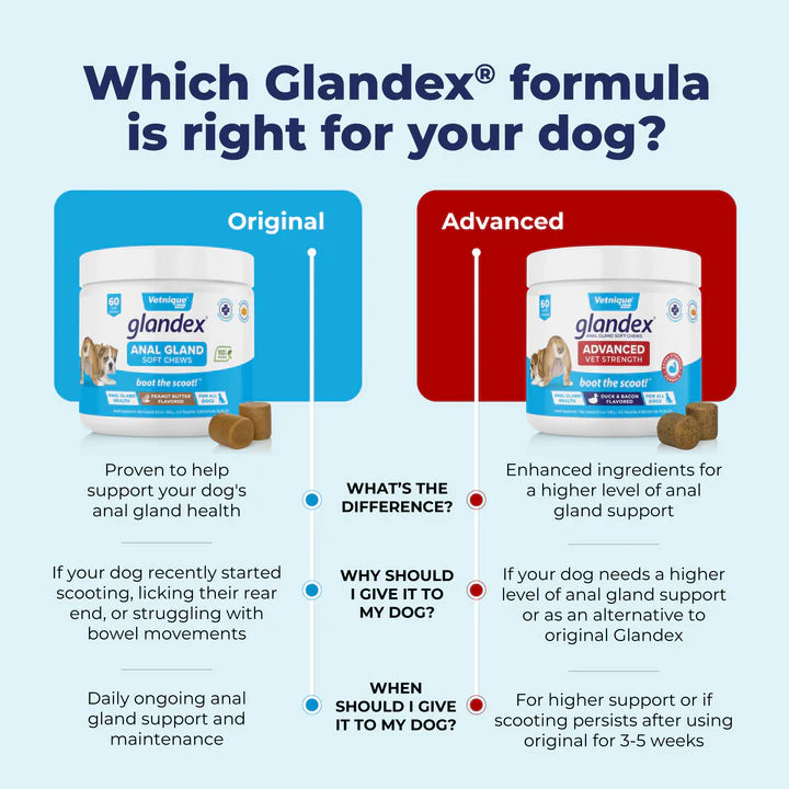 Glandex Anal Gland Support Soft Chews - Duck & Bacon Flavor 60 ct.