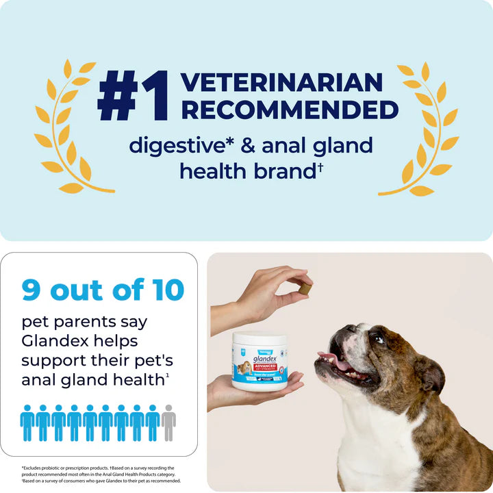 Glandex Anal Gland Support Soft Chews - Duck & Bacon Flavor 60 ct.