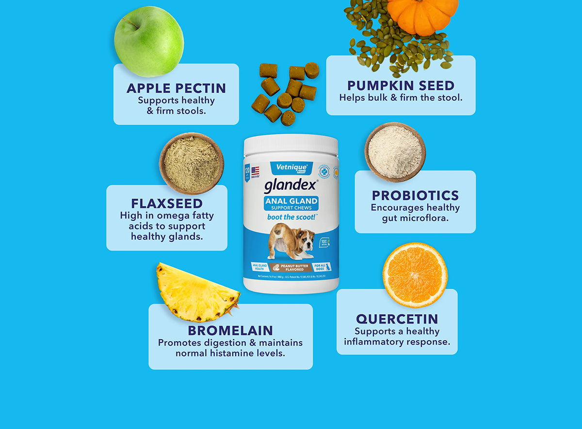 Glandex Anal Gland Support Soft Chews - Bacon and Pumpkin Flavor 120 ct.