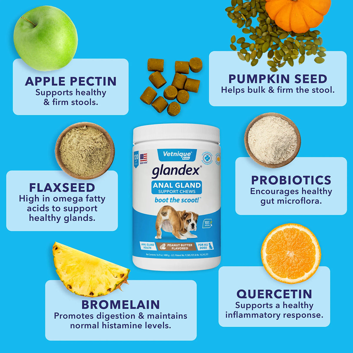 Glandex Anal Gland Support Soft Chews - Bacon and Pumpkin Flavor 120 ct.