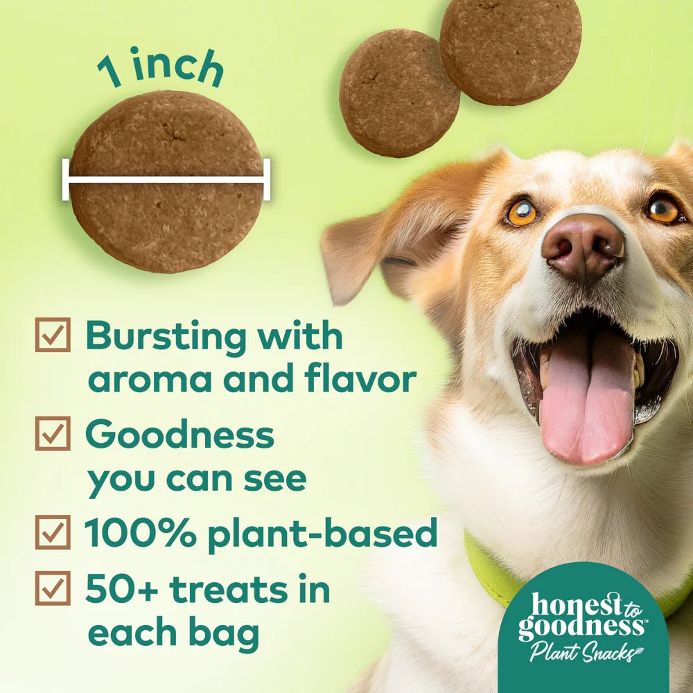 Honest To Goodness™ Plant Snacks Way to Glow Coconut & Flax Recipe Dog Treats 8oz