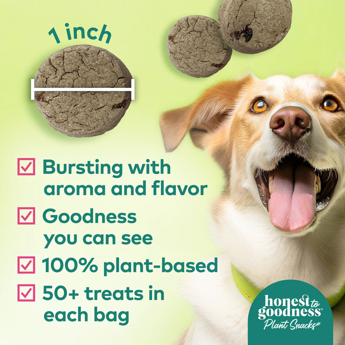 Honest To Goodness™ Plant Snacks Buddy Boost Cranberry & Pomegranate Recipe Dog Treats 8oz