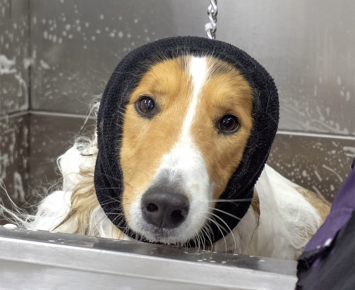 HAPPY HOODIE- LARGE BLACK