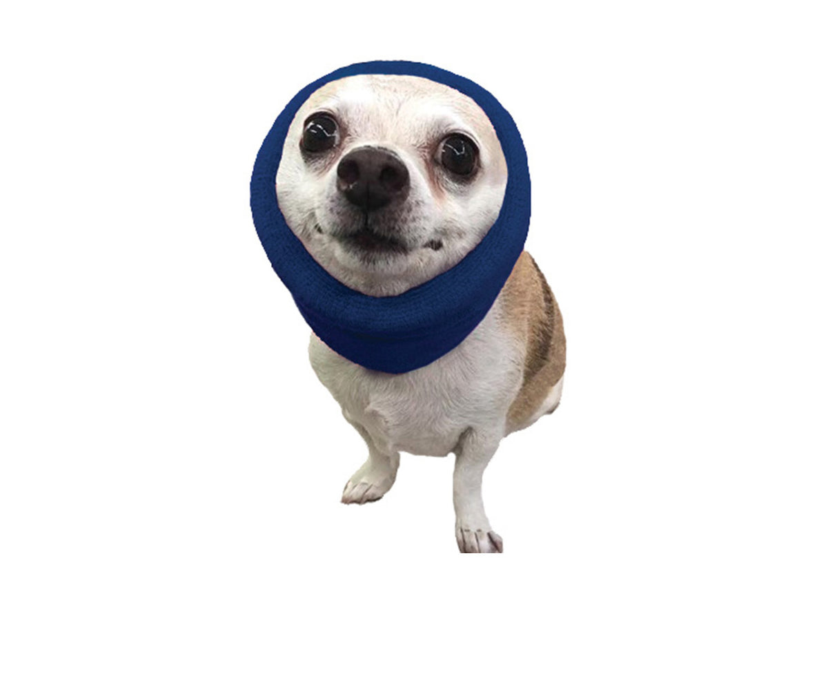 HAPPY HOODIE- SMALL BLUE