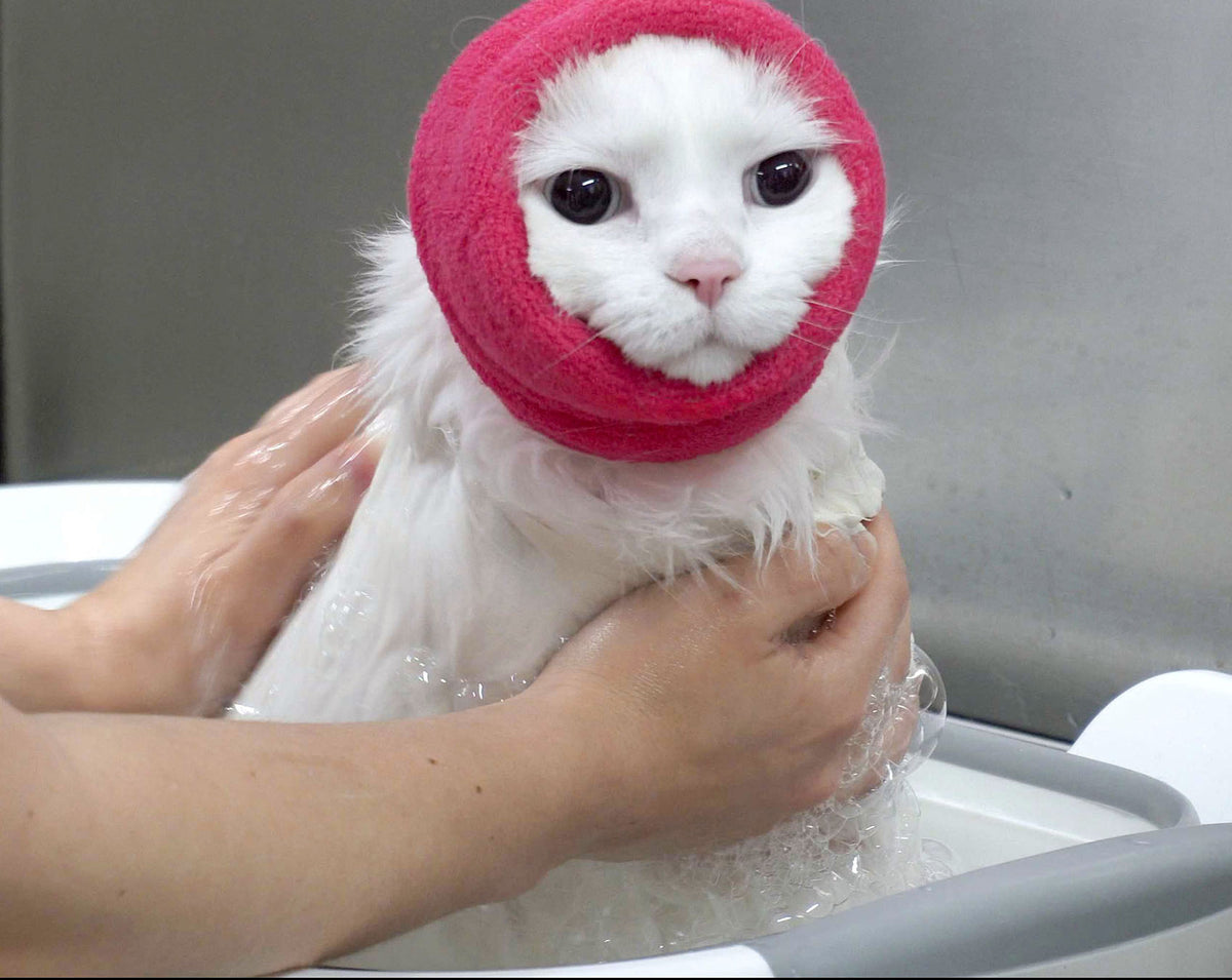 HAPPY HOODIE- SMALL PINK