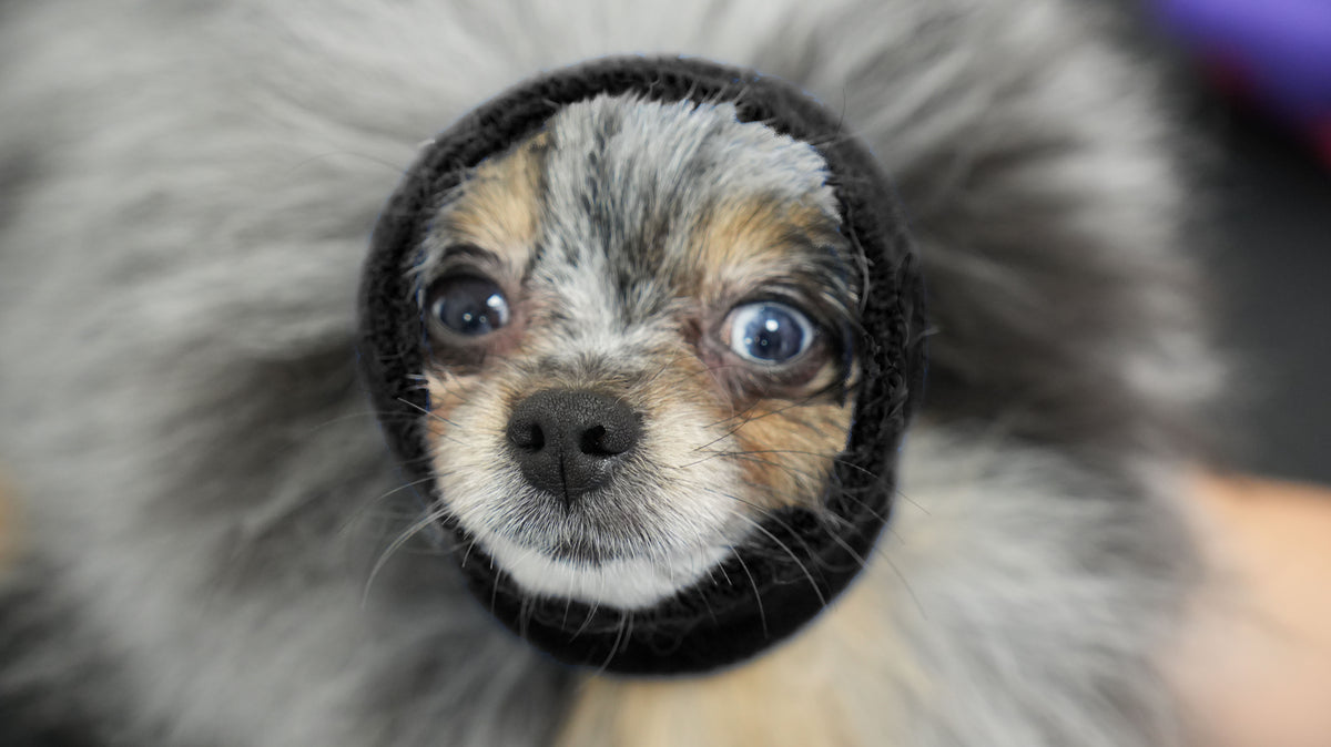 HAPPY HOODIE- XS BLACK