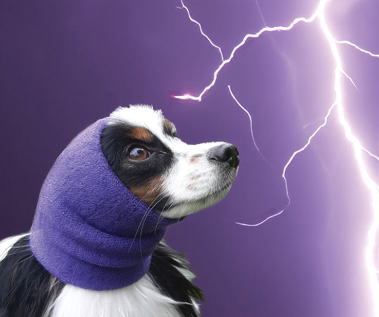 HAPPY HOODIE- XS BLUE