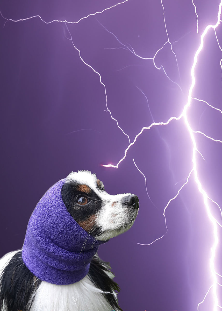 HAPPY HOODIE- XS PURPLE