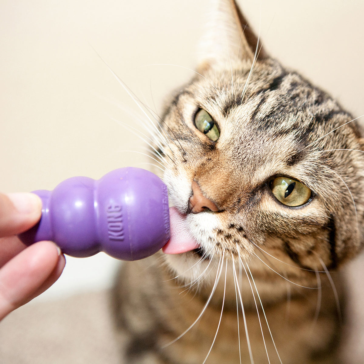 KONG® Kitty KONG® Cat Toy