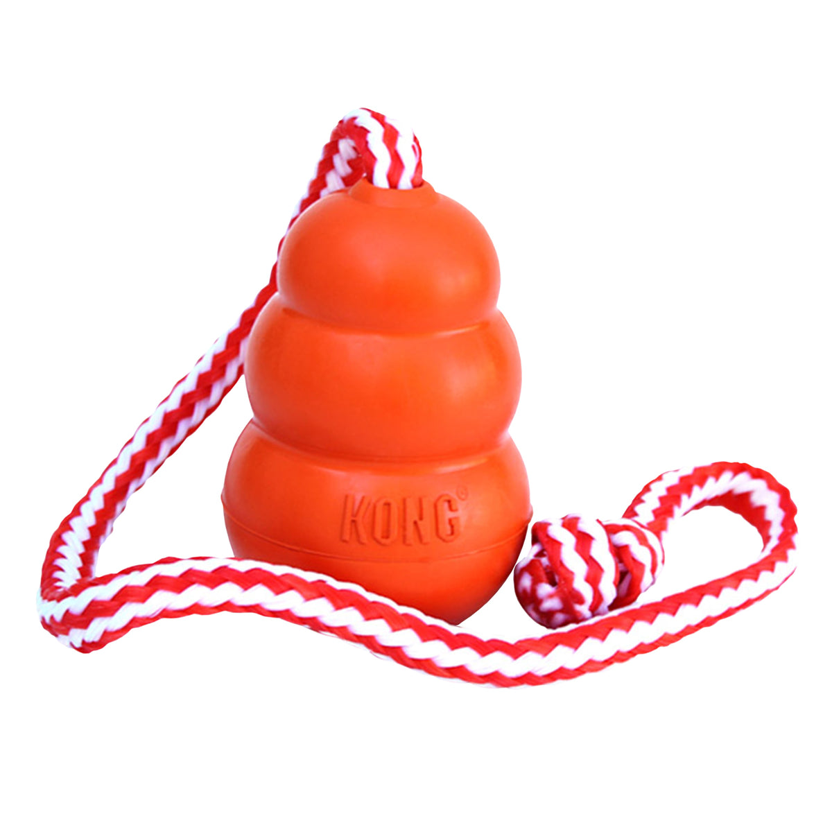 KONG® Aqua Dog Toy Large