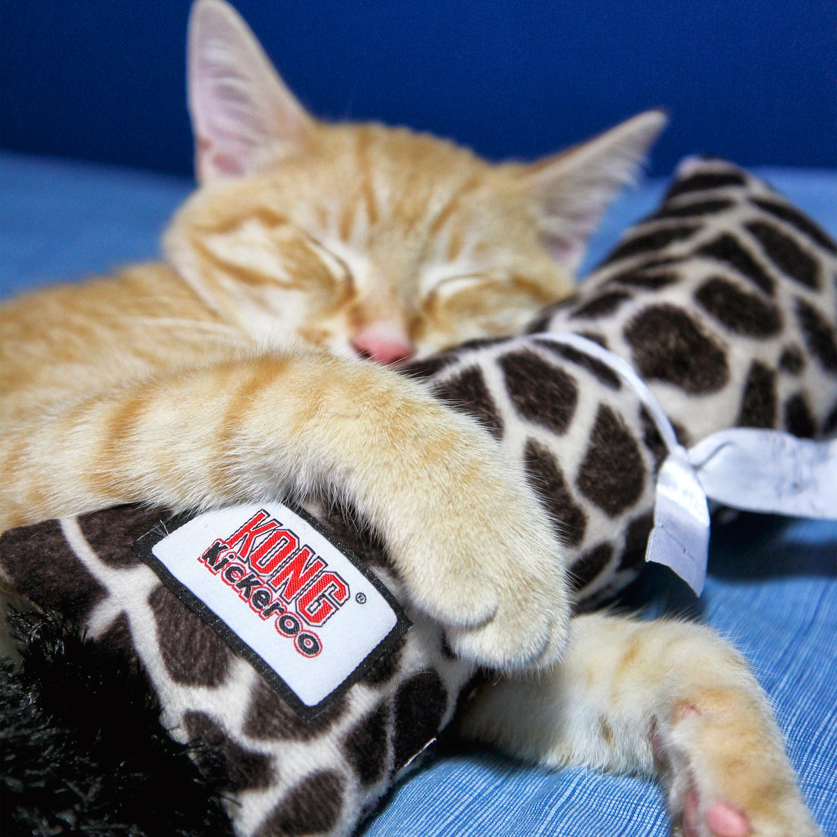 KONG® Kickeroo® Pattern #1 Cat Toy